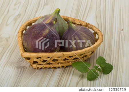 Figs 12539729