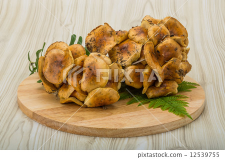 Armillaria Armillaria 12539755