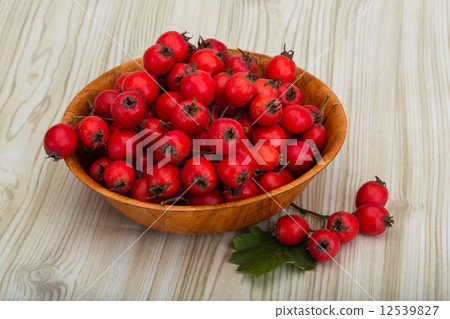 Hawthorn 12539827