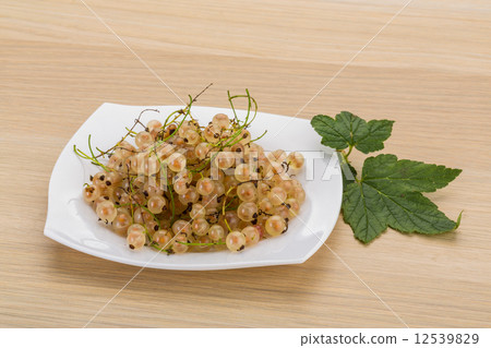 White currant White currant 12539829