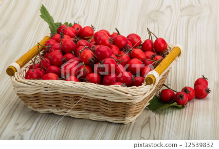 Hawthorn Hawthorn 12539832
