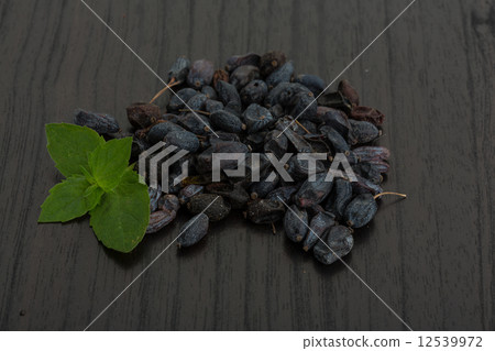 Berberis Berberis 12539972