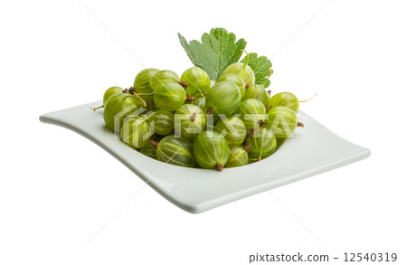 Gooseberry Gooseberry 12540319