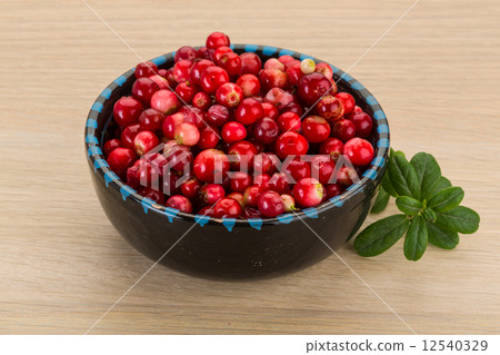 Cowberry 12540329