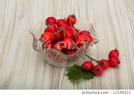 Hawthorn Hawthorn 12540331