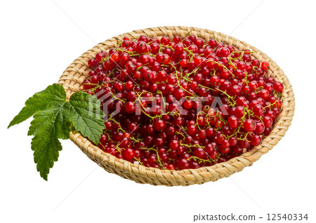 Red currant Red currant 12540334