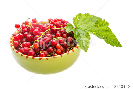 Red currant 12540360
