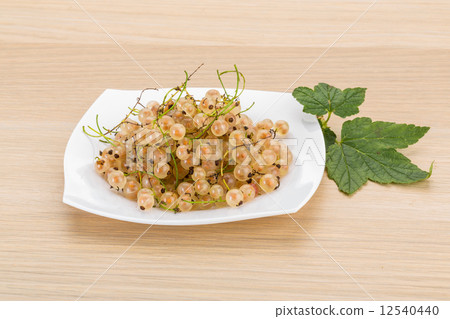 White currant White currant 12540440