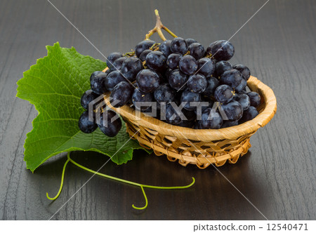 Grape Grape 12540471