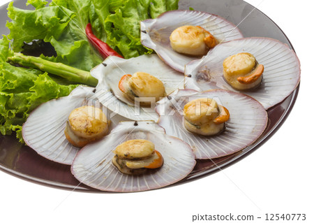 Grilled scallops 12540773