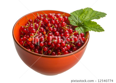 Red currant Red currant 12540774