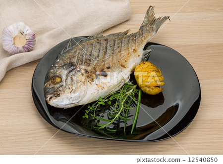 Grilled dorado 12540850