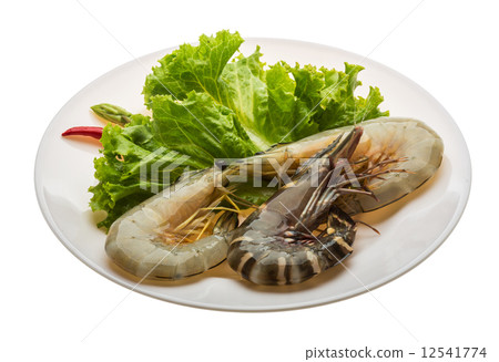 King and waterleg shrimps 12541774