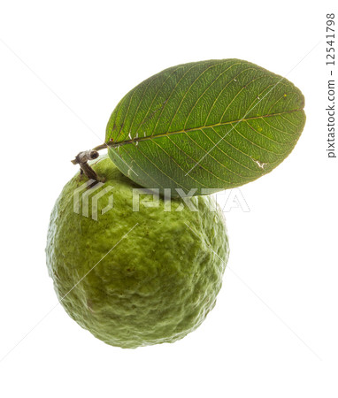 Guava Guava 12541798