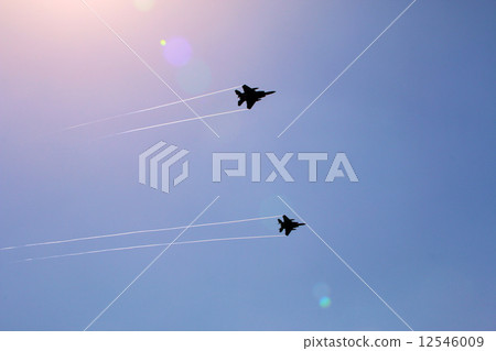 航空節 飛機 老鷹 12546009