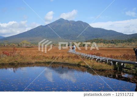 Ozegake dyed in Mt. Uketake and grass foliage 12551722
