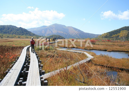 Ozegahara of Mt. Sobetsu and grass foliage 12551900