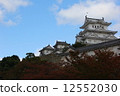 Himeji castle   12552030