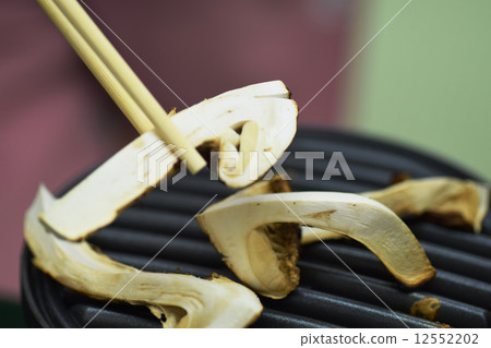 Matsutake 12552202