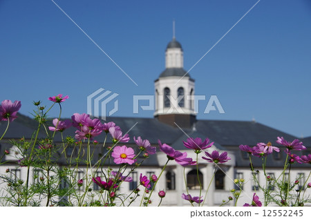 German pavilion and cosmos 12552245