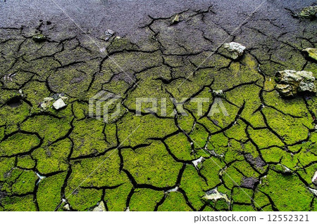 Cracked dead soil Cracked dead soil 12552321