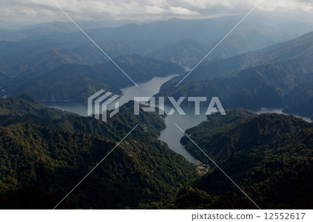 Tagokurako 12552617