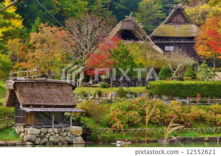 Fall scene 2 12552621