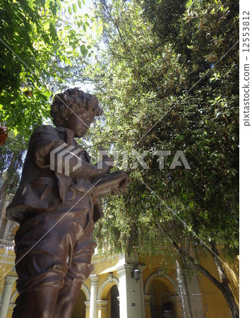 A boy playing an instrument A boy playing an instrument 12553812