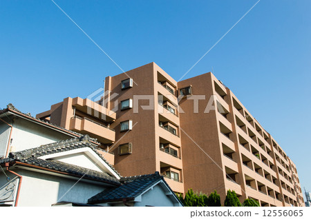 Mansion 12556065