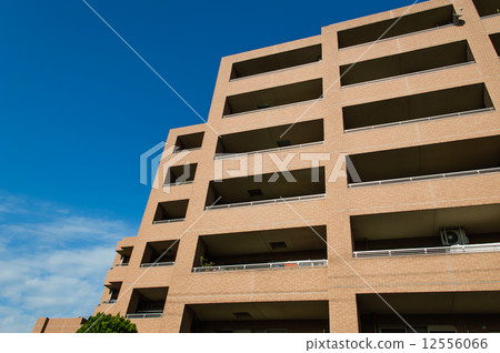 Mansion 12556066