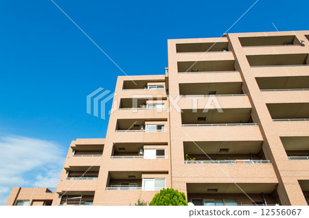 Mansion 12556067