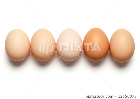 Eggs 12556075