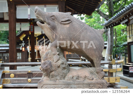 Kao神社的“Komo野豬”(京都市上京區Karasuma-ku Changji Chonmachiro Shuru Sakuraguru-cho) Kao神社的“Komo野豬”(京都市上京區Karasuma-ku Changji Chonmachiro Shuru Sakuraguru-cho) 12556264