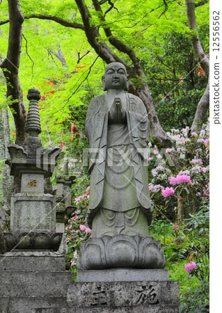 Mr. Jizo at Hasedera Temple 12556562
