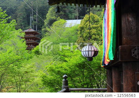 Hase-der-ji的五層寶塔 12556563