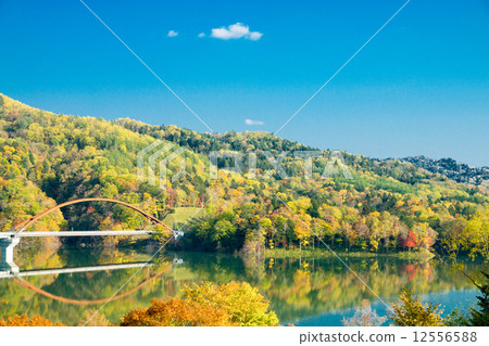 Colorful autumn leaves of Lake Schupeauro (Yubari city) 12556588