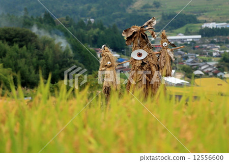 Scarecrow of rice terrace Scarecrow of rice terrace 12556600