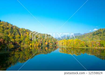 Colorful autumn leaves of Lake Schupeauro (Yubari city) 12556624