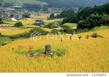 God of the field watching the harvest 12556655
