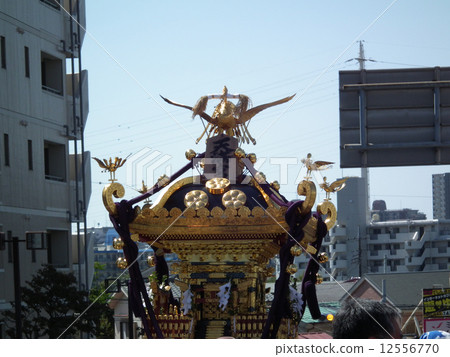Momotashi 12556770