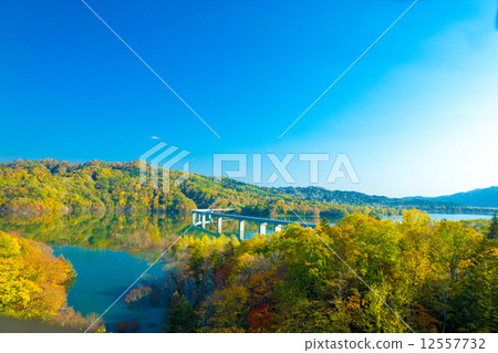 Colorful autumn leaves of Lake Schupeauro (Yubari city) 12557732