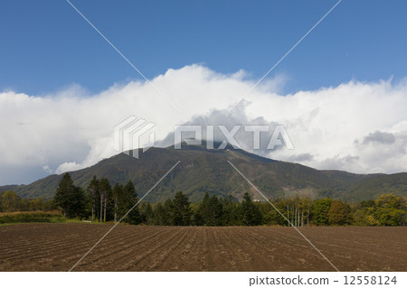 Niseko Annupuri 12558124