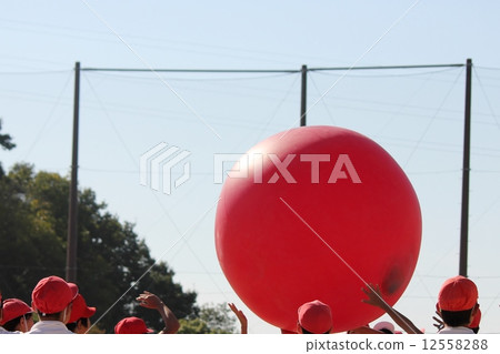 Sports day  12558288