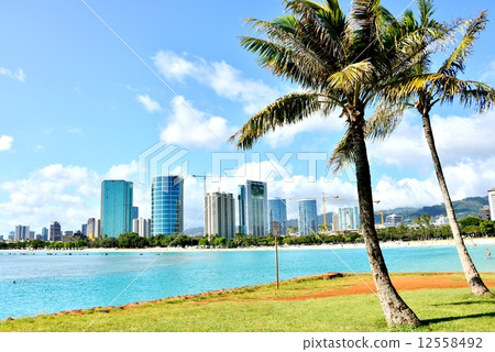 Holidays in Hawaii Holidays in Hawaii 12558492