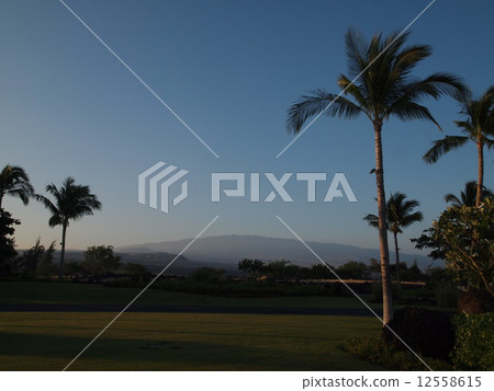 Looking at Mauna Lore Looking at Mauna Lore 12558615