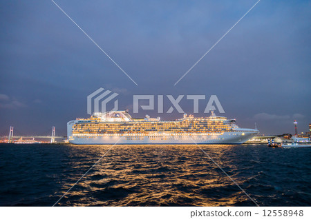 Diamond Princess Lighted Up 12558948