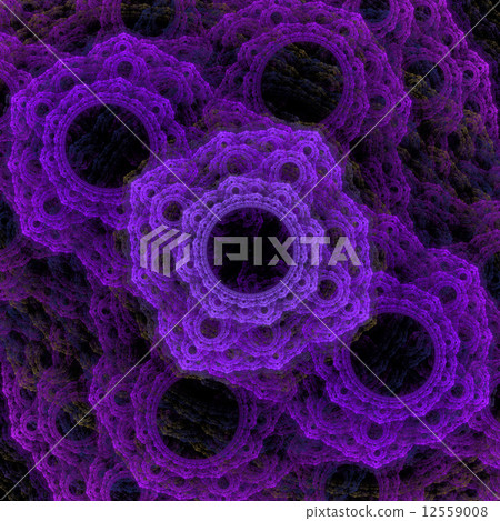 Symmetrical growth of bacteria 12559008