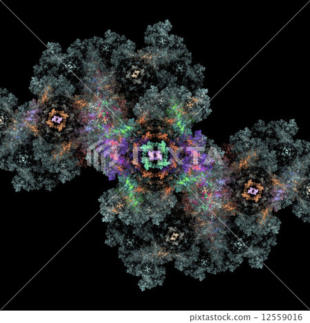 Symmetrical growth of bacteria Symmetrical growth of bacteria 12559016