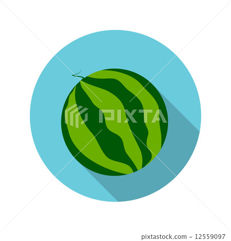 Flat Design Concept Watermelon Vector Illustration With Long Sha 12559097