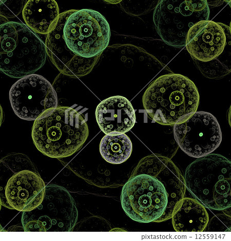 Symmetrical growth of bacteria 12559147